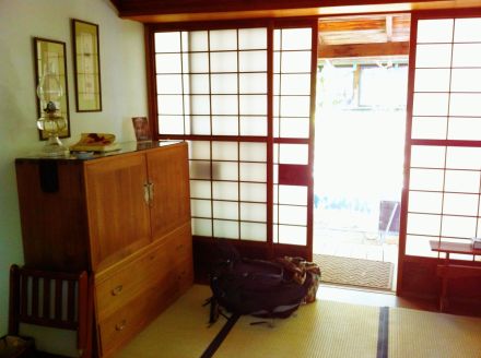 Rice paper and pexiglass sliding doors