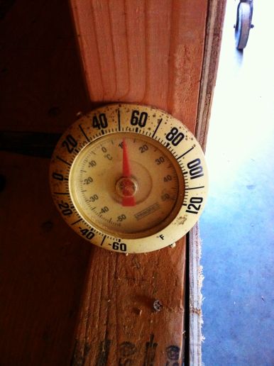 thermometer