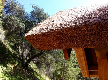 tassajara gate roof and tree
