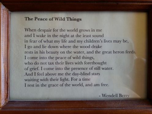 peace of wild things