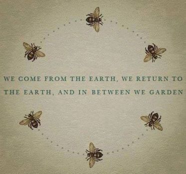 bee garden quote